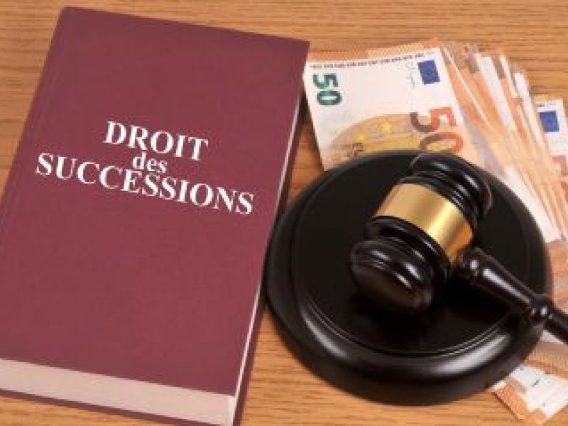 French inheritance law book next to pile of euros and judge gavel